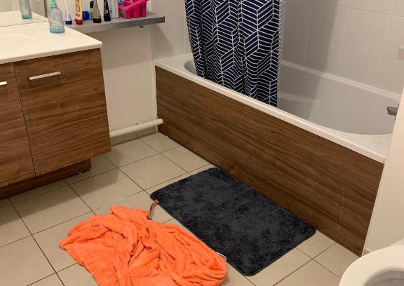 Villepinte Apartment | Appartement verte glant 1