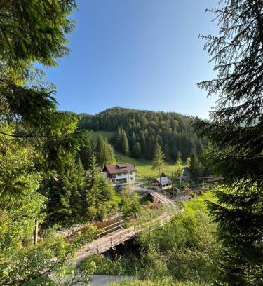Garda de Sus Cabin | Apuseni Escape