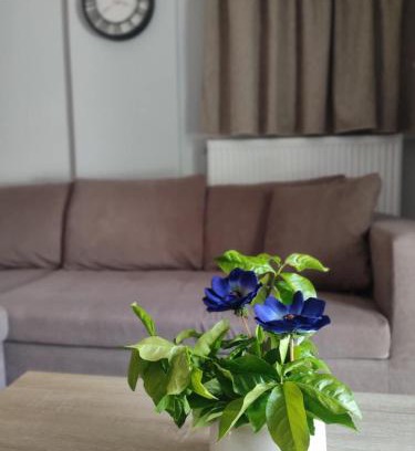 Kariotai Apartment | Aqua Apartment