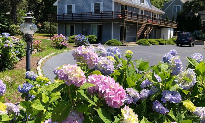 South Harwich House | Aren't you thinking about summer right now? Warm days and cool nights available!