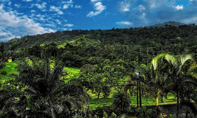 Arenal Hot Springs Hotel | Arenal Roca Lodge