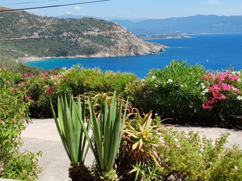 Cargese Apartment | Aria