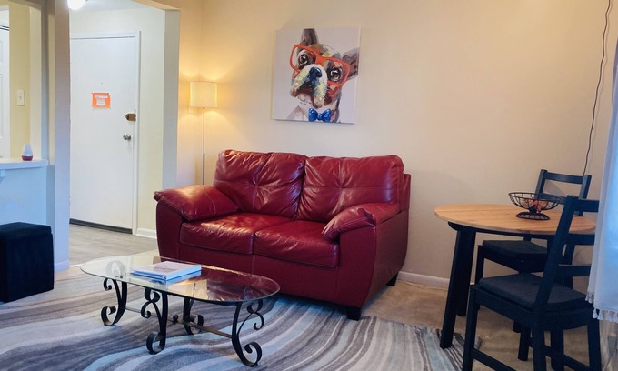 Nauck Apartment | Arlington Gem located in quite & amenity enrich neighborhood