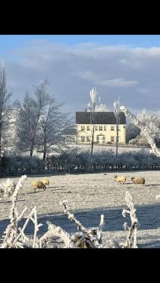 Omagh Bed & Breakfast | Arney Lodge Farm