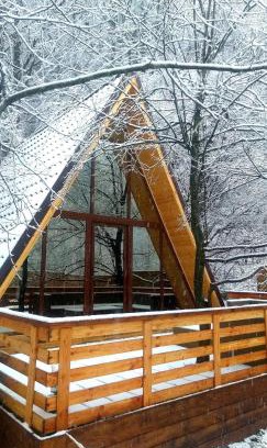 Zarnesti House | Aroa Mountain 4