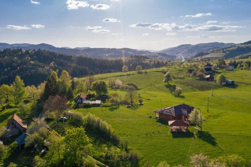Zlatibor Cabin | Aronija Zlatar