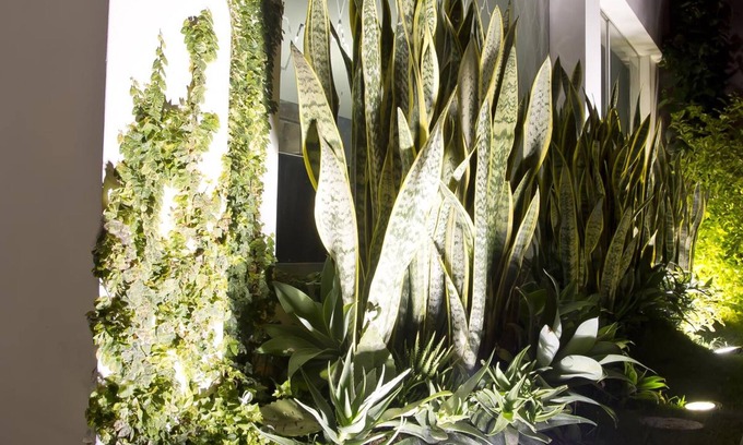 Trujillo Hotel | Arvo Hotel Boutique