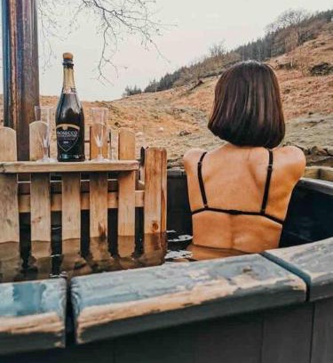 Llanelltyd Apartment | Ash Cabin with Hot Tub