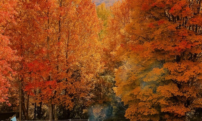Weaverville House | Asheville-area Autumn Retreat; Clean, Spacious 4BR Home Perfect for Family Stays