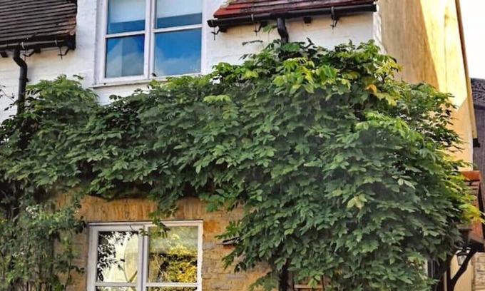 Bretforton Cottage | Ashwin Court Cottages Clara Cottage - Sleeps 4