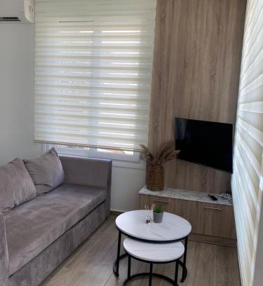 Ofrinion Apartment | ATHINA'S Apartment