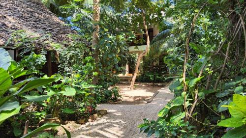 Nungwi Hotel | Atii Garden Bungalows