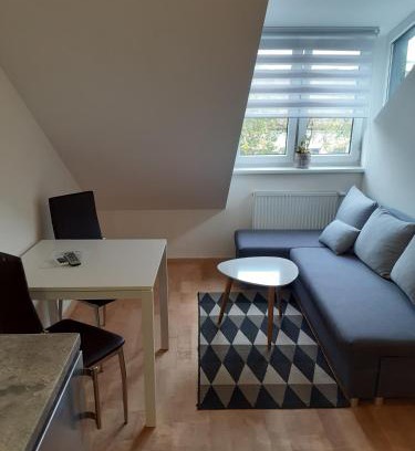 Liberty Avenue Apartment | Attic rooms at Laisves avenue