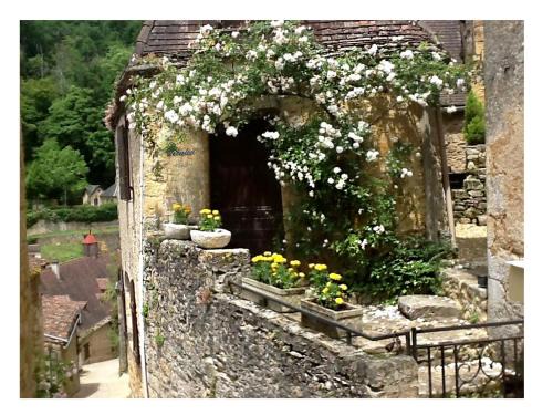 Beynac-et-Cazenac House | Au coeur de Beynac, maison authentique avec vue magique sur la rivière