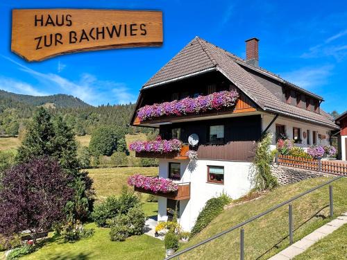 St. Blasien Apartment | Aufblühen in Menzenschwand