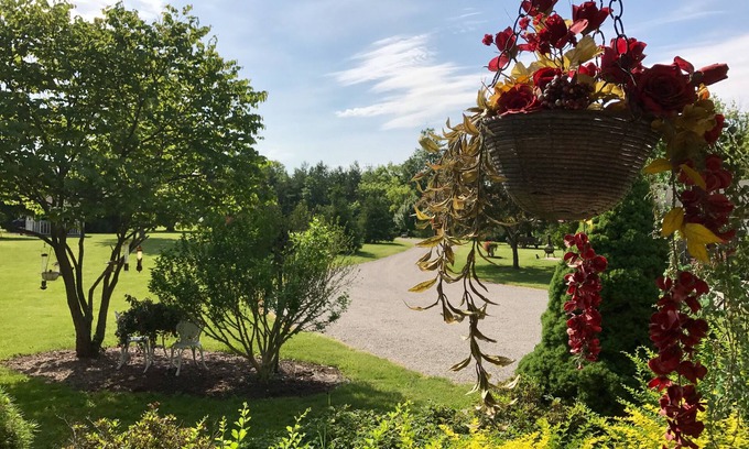 Oberlin Cottage | Aunt Connie's Cottage