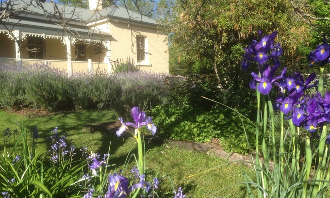 Kangaroo Valley Cottage | Auntie Eileen's Cottage -A gentle farm experience just a stroll from the village