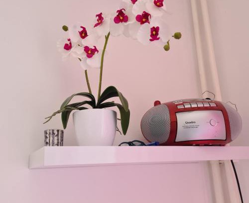 Rijeka Apartment | Aurora