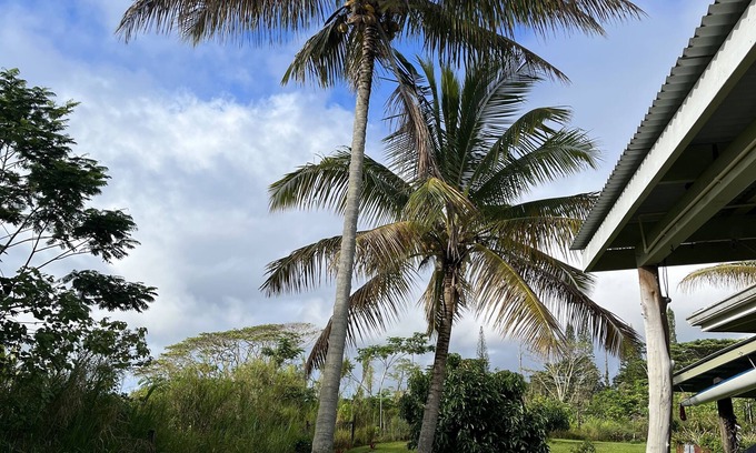 Kapoho House | Authentic Big island farm house in Peles backyard;)