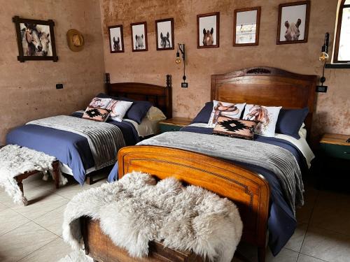 Chambo House | Ayni House