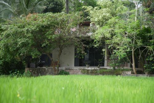 Dambulla Apartment | Ayubowan Eco Lodge
