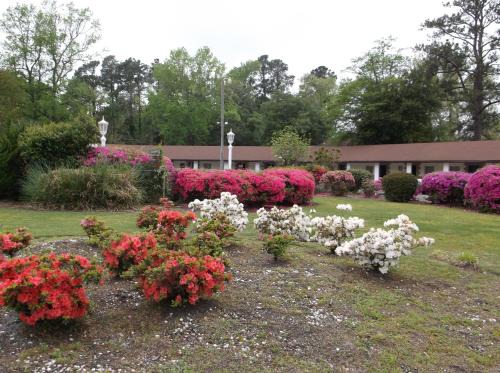 Wilmington Hotel | Azalea Inn & Suites