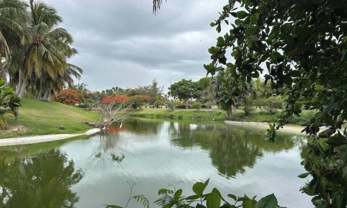 Punta Cana Apartment | Bávaro, Cocotal Stylish 2 Bdr- Pool & Near Beach