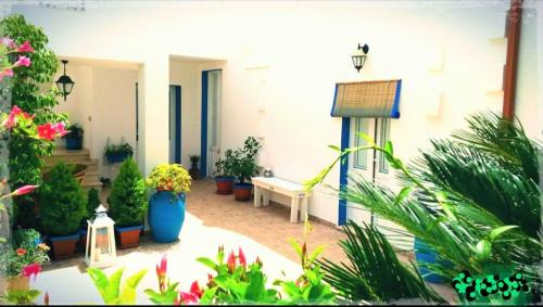 Salve Bed & Breakfast | B&B Antiche Stelle Salento