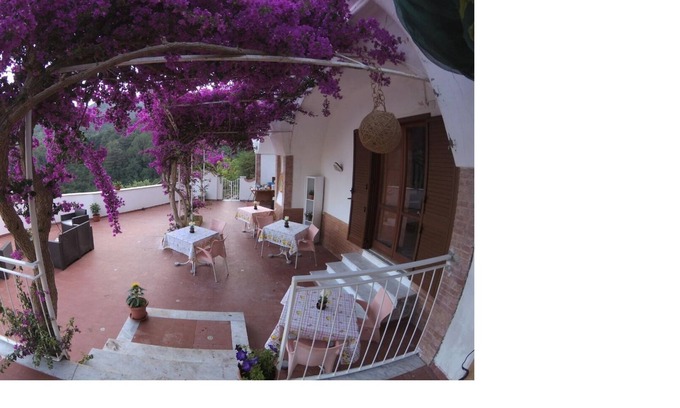 Pucara Bed & Breakfast | B&B Bouganville in Pucara