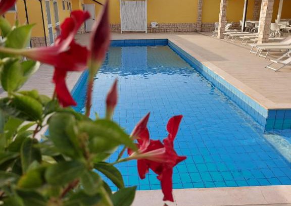 Modugno Bed & Breakfast | B&B FreeZone