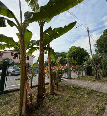 Imola Bed & Breakfast | B&B Il Balcone Fiorito