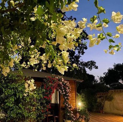 Sant'Anna Arresi Bed & Breakfast | B&B Il Girasole