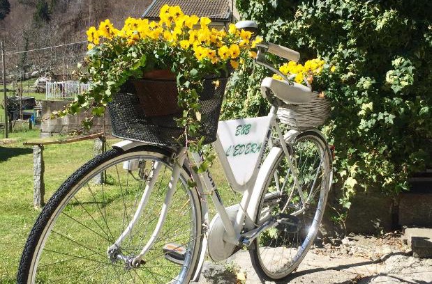 Crodo Bed & Breakfast | B&B L'Edera