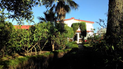 Leporano Marina Bed & Breakfast | B&B L'Oasi dei Sogni