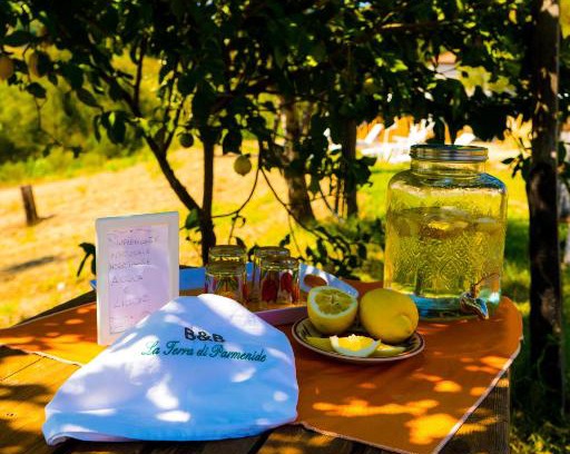 Ascea Bed & Breakfast | B&B La Terra di Parmenide