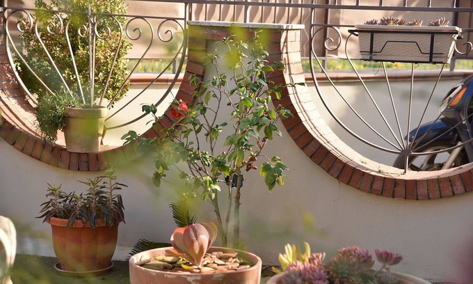 Castellammare di Stabia Bed & Breakfast | B&B Le Cycas