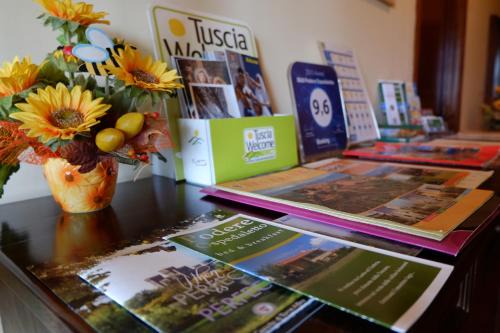 Bolsena House | B&B Podere Ospedaletto