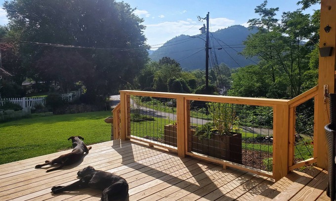 Hot Springs House | Bailey Hot Springs - In Town, Dog Friendly!