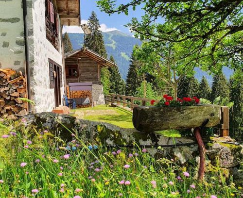 Pinzolo Ski Chalet | Baita - Chalet tra Pinzolo e Madonna di Campiglio