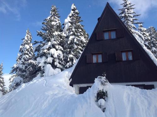 Tesero Ski Chalet | Baita Giggia sulle piste - Cavalese in Trentino Alto Adige cottage chalet
