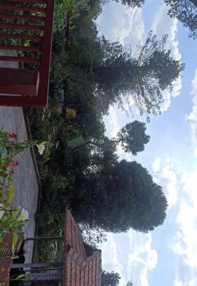 Madikeri House | Bakka house of joy