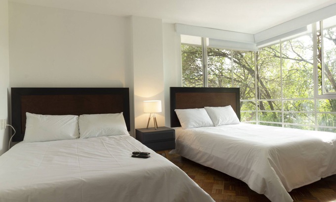 Colonia Cuauhtemoc Apartment | Balsas By Homirent