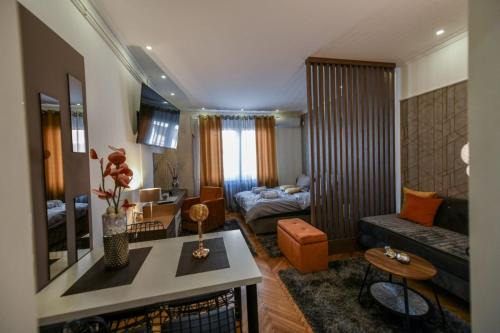 Kraljevo Apartment | BANE APARTMANI 3