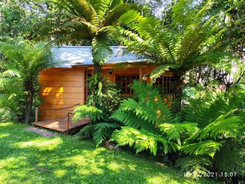 C A I C House | Bangalô do Xaxim