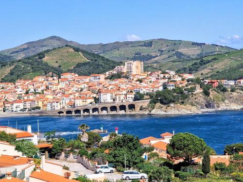 Banyuls-sur-Mer Apartment | BANYULS-SUR-MER, T2 avec WIFI et parking - FR-1-309-30