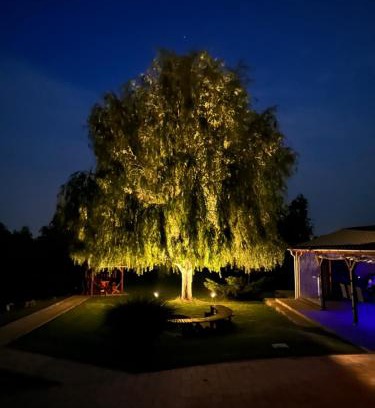 Battonya House | Battonya House