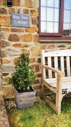 North Buckland House | Bay Tree Cottage - cosy home near beach