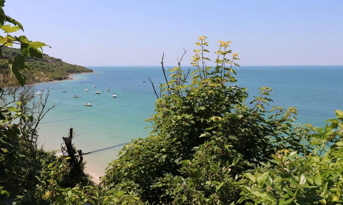 Totland Bay Cottage | BAYTREE COTTAGE, pet friendly, with open fire in Totland