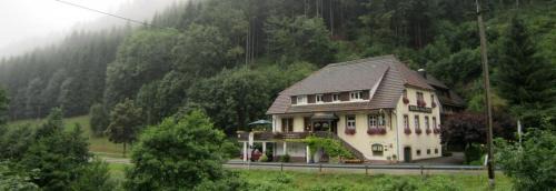 Bad Rippoldsau-Schapbach Apartment | BE ME Black Forest Family Apartment -Zum Letzten G'Stehr