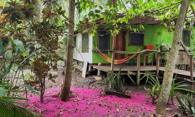 Puerto Viejo de Talamanca Apartment | BeachFront Apartment, 45 meter from sea,nsorounded by wild nature,neco friendlyn